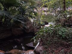 -广州珠江公园