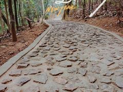 -上海佘山国家森林公园天马山园