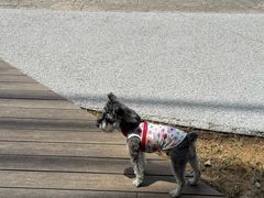 -翠贝卡&Mama Kelly Brunch Coffee(河西店)