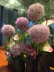 -广州富力君悦大酒店O SPA