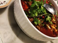 -蝶园·装修中(BFC外滩金融中心店)