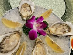 -咖啡苑 - 蔚藍夏日限定主题(永利皇宫店)