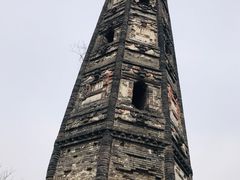 -上海佘山国家森林公园天马山园