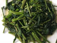当季时令蔬菜-海月湾海景餐厅( 嵊泗本地老字号店)