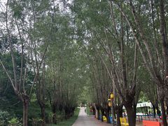 -西部长青自然儿童乐园