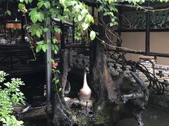 -优之名鹅城