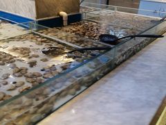 水产区-川骄海鲜自助(河东店)