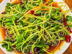 -少林寺欢喜地素斋馆