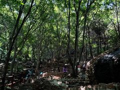 -山叶口景区