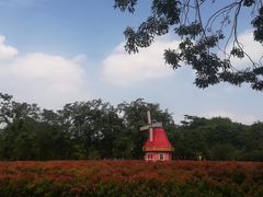 -东莞植物园