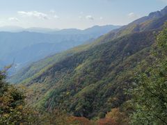 -牛背梁国家森林公园