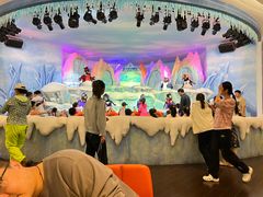 -帝企鹅自助餐厅•儿童岛•真企鹅(长隆企鹅酒店)