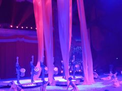 -珠海横琴长隆《卡卡虎奇遇记》