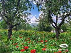 -名花谷生态庄园