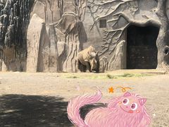 -新疆天山野生动物园