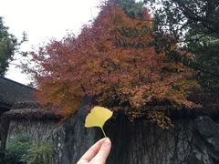 -上海方塔园