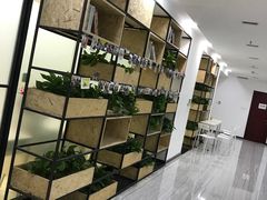 -全欧语言留学考试(德法西意俄南京总部校区)