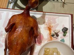 红烧乳鸽-大鸽饭(北京路店)