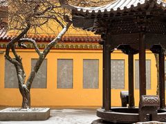 -东天目山风景区