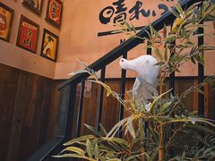 -炉石六本目·冰鲜和牛炭火烤肉·寿喜烧店(梅江店)