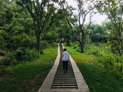 -青龙山国家森林公园