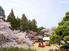 -醍醐寺