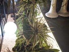-华夏良子·足道SPA艾灸(金皇大厦店)