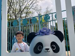 -海合安成都极地海洋公园