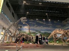 -自贡恐龙博物馆