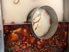 -新辣道鱼火锅(领展购物广场·中关村店)