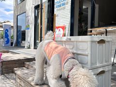 -小意思咖啡店(草桥店)