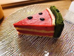 -Husky Go! 哈士奇体验馆·宠物咖啡厅狗咖