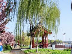 -绿堤公园