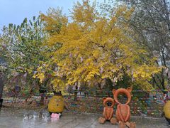 -哈密回王府景区