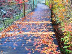 -丹东天桥沟景区