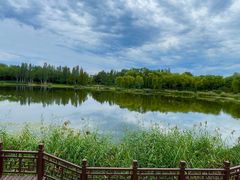 -北坞公园
