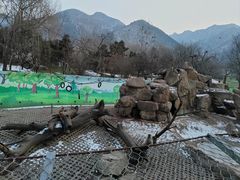 -西安秦岭野生动物园