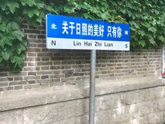 -日照海滨国家森林公园