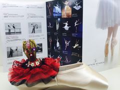 -上海路易十四芭蕾良品舞蹈用品店(美丽华商务中心店)