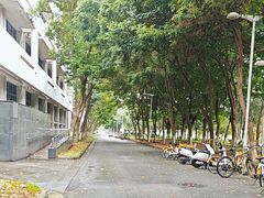 -四川大学(江安校区)