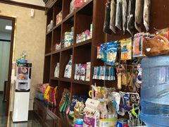 -宠爱国际动物医院· 猫科· 外科·中兽医(长白店)