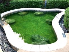 -英德宝晶宫天鹅湖茶语温泉