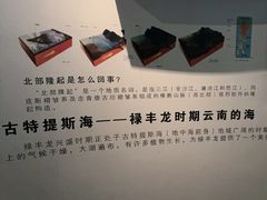 -云南省博物馆