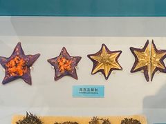 -天津自然博物馆