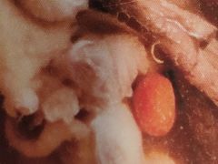 -兰湘子·湘菜小炒(长安万科广场店)