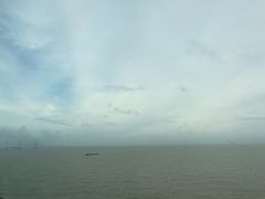 -宝安西湾红树林湿地公园