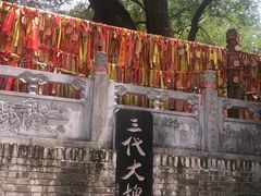-大槐树寻根祭祖园