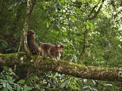 -西岭雪山大飞水景区