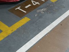 -日月光中心-停车场