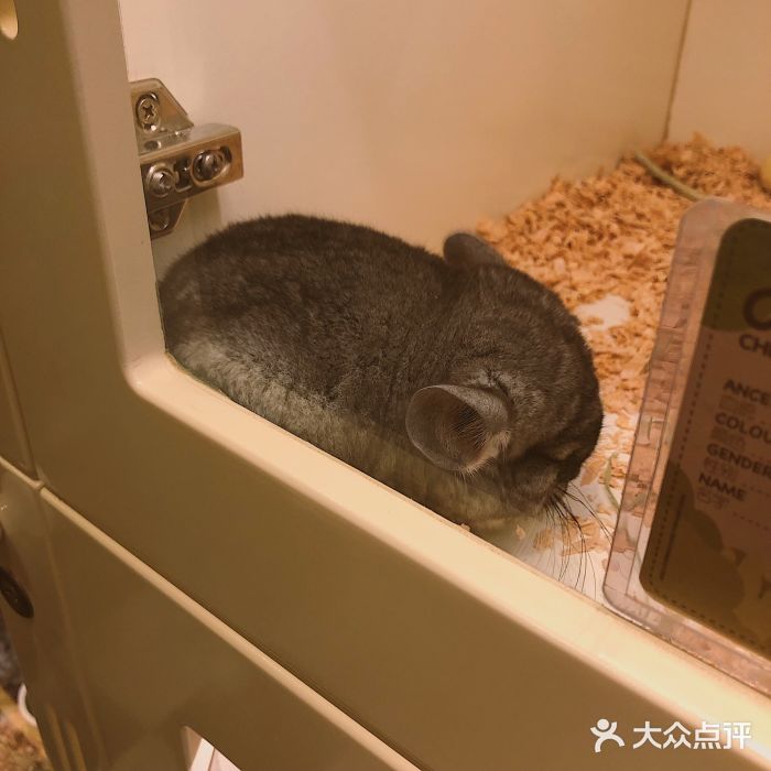 龙猫仔乐园(惠福东路店)图片